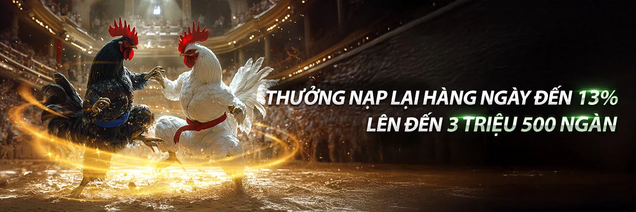 Sân đấu đá gà trực tuyến Nhatvip